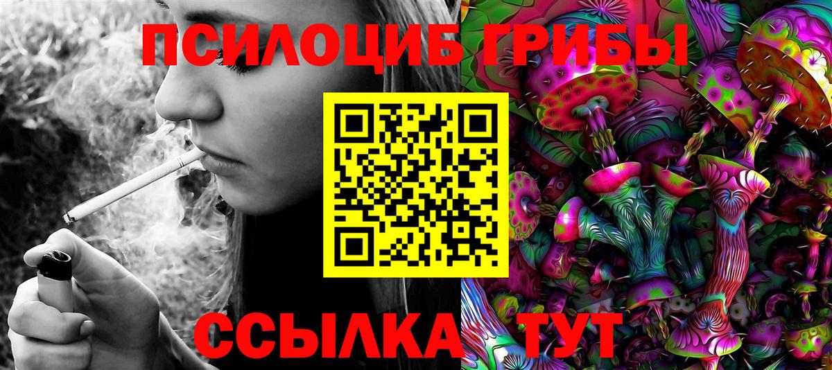 Псилоцибиновые грибы прущие грибы Заводоуковск
