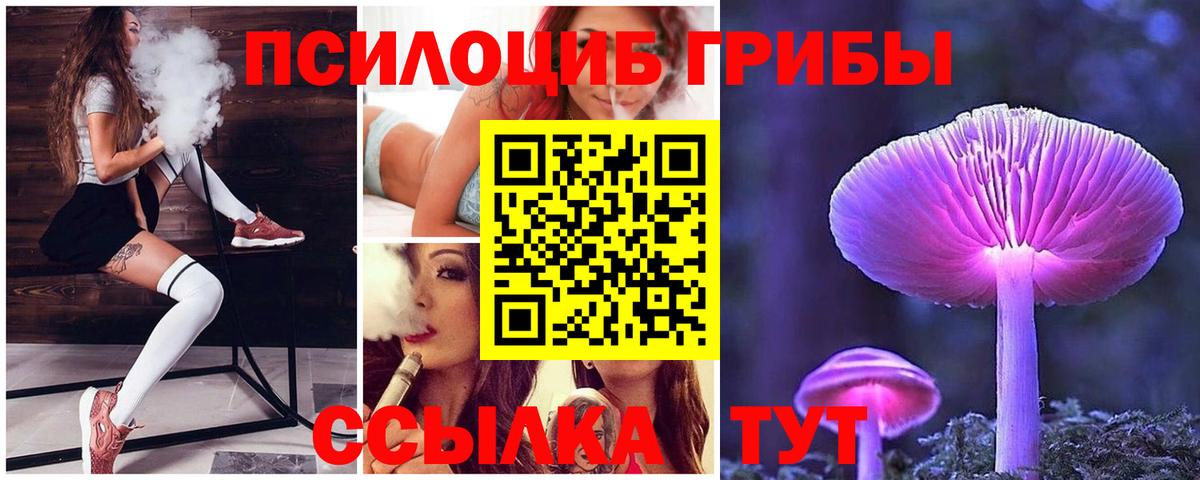 Псилоцибиновые грибы Заводоуковск