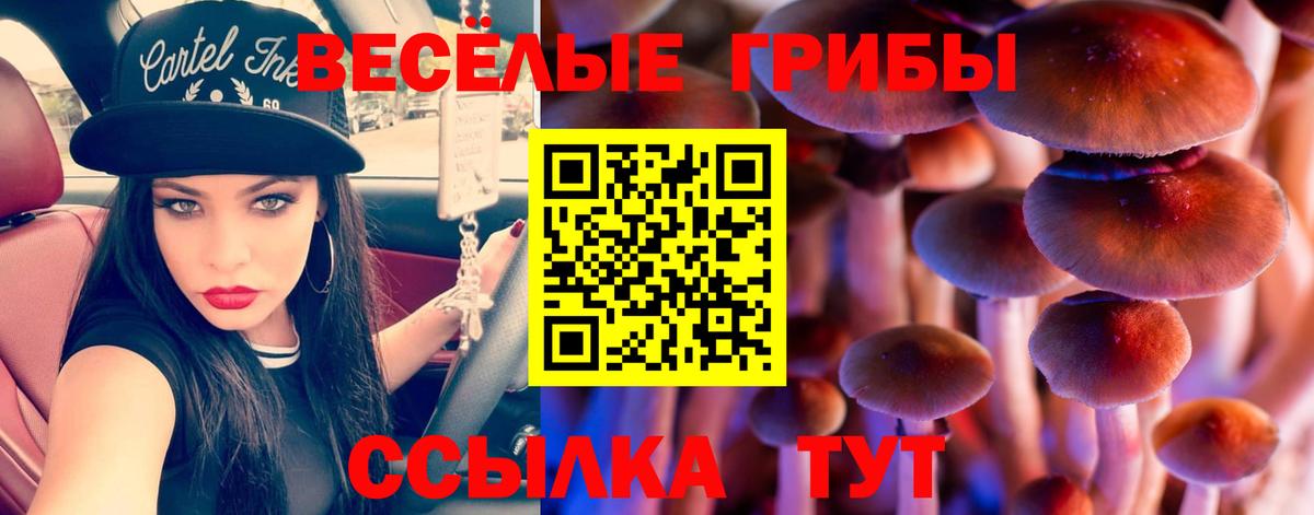 Галлюциногенные грибы Magic Shrooms  Вход с VPN  Заводоуковск 